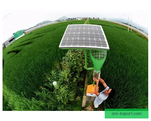 世界杯期间休斯顿赛区全面启用太阳能实现绿色低碳供电